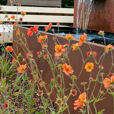 Rustic Water Feature and Planters